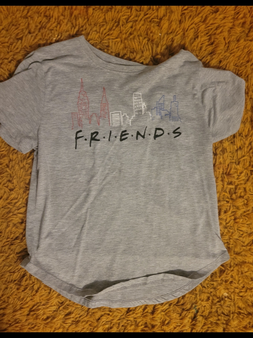 FRIENDS Gray Graphic Crop Top with Multicolor City Line Art